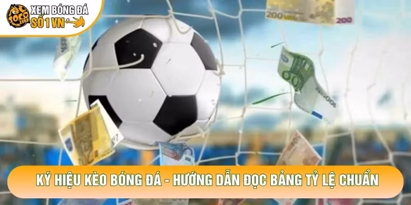 Ký Hiệu Kèo Bóng Đá – Hướng Dẫn Đọc Bảng Tỷ Lệ Chuẩn