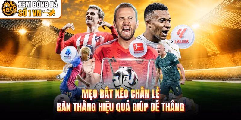 Mẹo Bắt Kèo Chẵn Lẻ Bàn Thắng Hiệu Quả Giúp Dễ Thắng