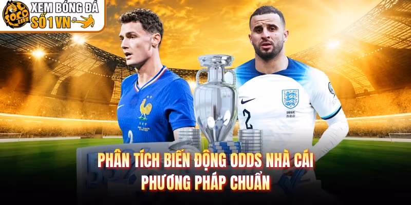 Phân Tích Biến Động Odds Nhà Cái - Phương Pháp Chuẩn