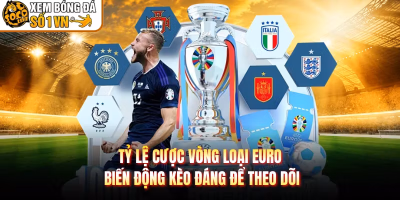 Tỷ Lệ Cược Vòng Loại Euro Biến Động Kèo Đáng Để Theo Dõi